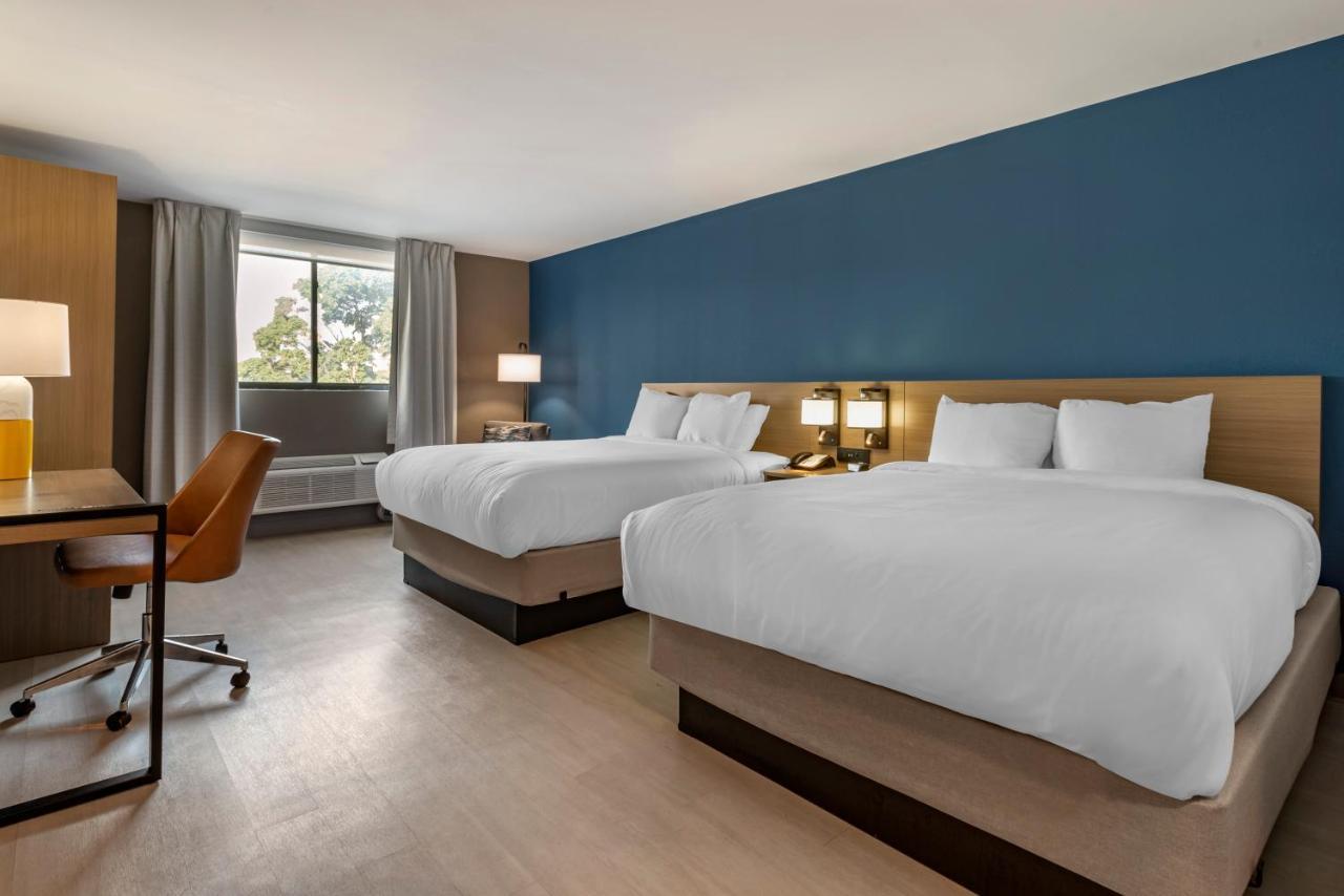 צ'סטר Comfort Inn Philadelphia International Airport West מראה חיצוני תמונה